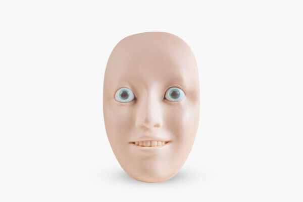 6 simulation faces and 6 drainage trays - Image 4